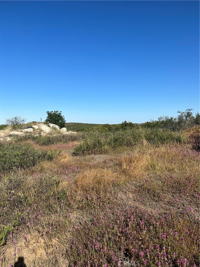 0 Red Mountain Road Hemet, CA 92544 - Photo 4 of 24 View of parcel.