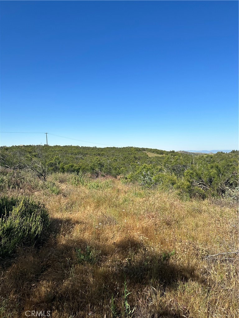 0 Red Mountain Road Hemet, CA 92544 - Photo 9 of 24 View of parcel.