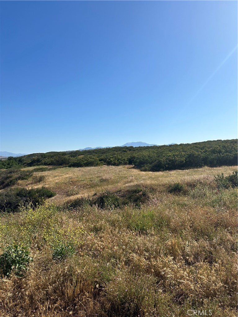 0 Red Mountain Road Hemet, CA 92544 - Photo 10 of 24 View of parcel.