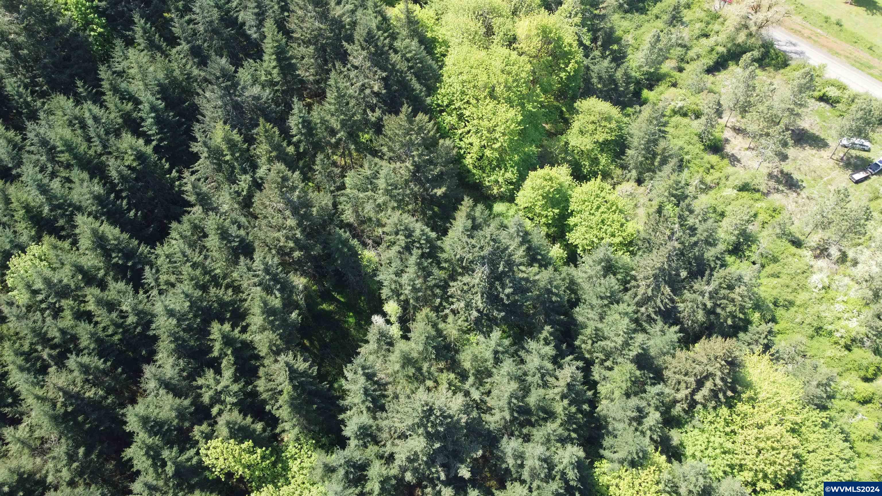 43458 Rogers Mountain Road Scio, OR 97374 - Photo 15 of 19