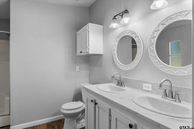 a bathroom with a toilet a sink and mirror