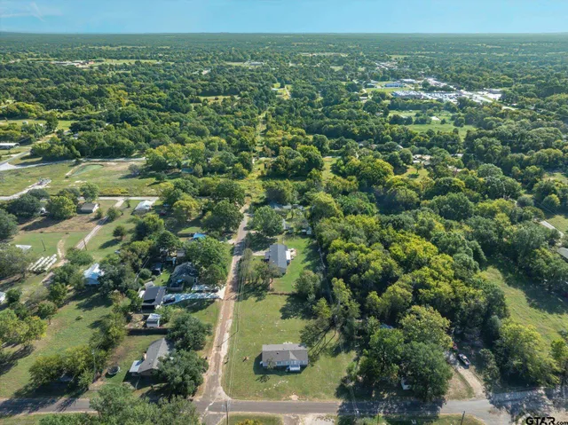 an aerial view of residential houses with outdoor space and trees