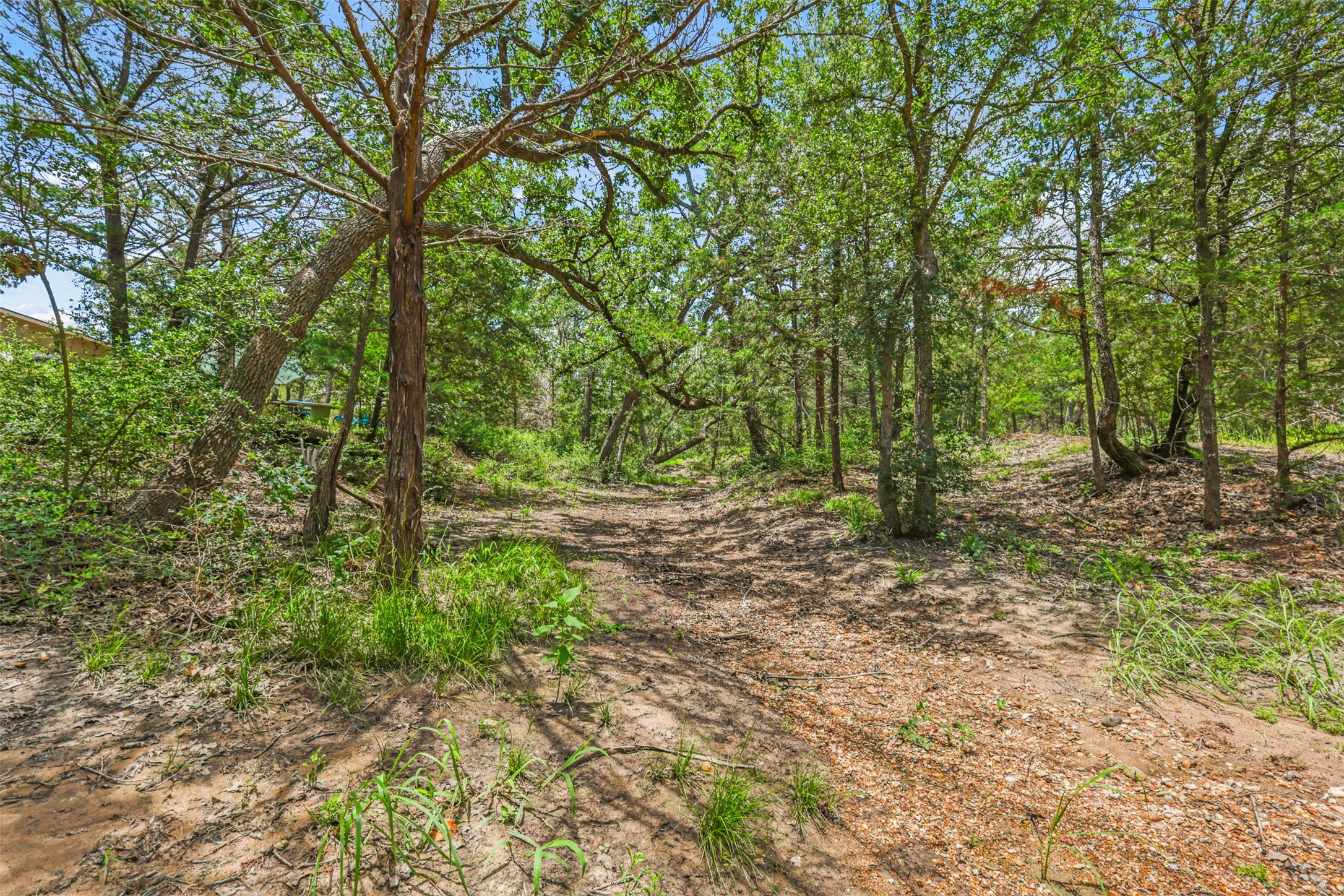 735 Boysenberry Road Somerville, TX 77879 - Photo 22 of 36 a view of backyard with green space