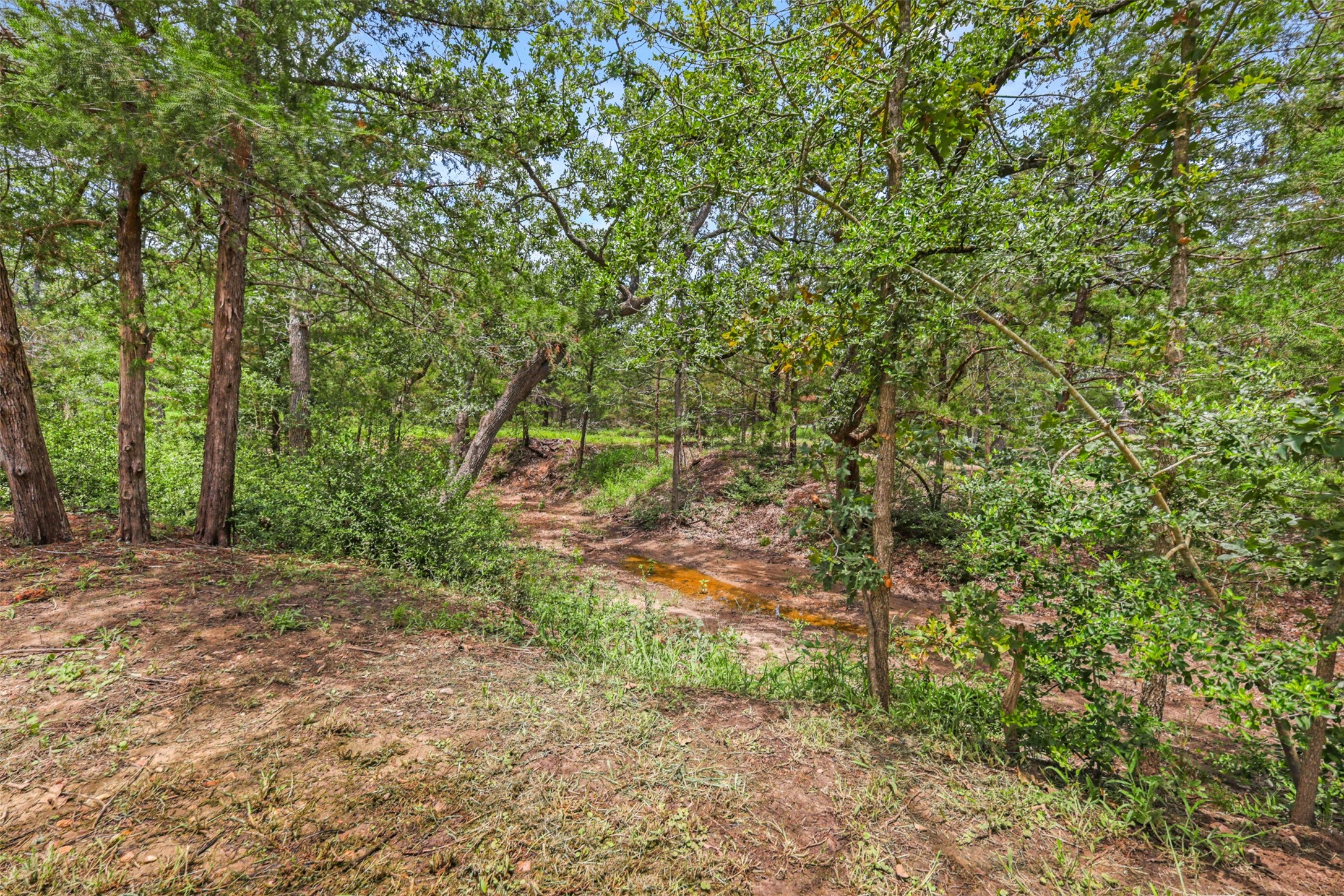 735 Boysenberry Road Somerville, TX 77879 - Photo 23 of 36 a backyard of a house with lots of green space