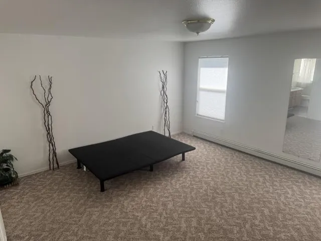 $484,900 | 308 Elderberry Drive, Fruita, CO 81521