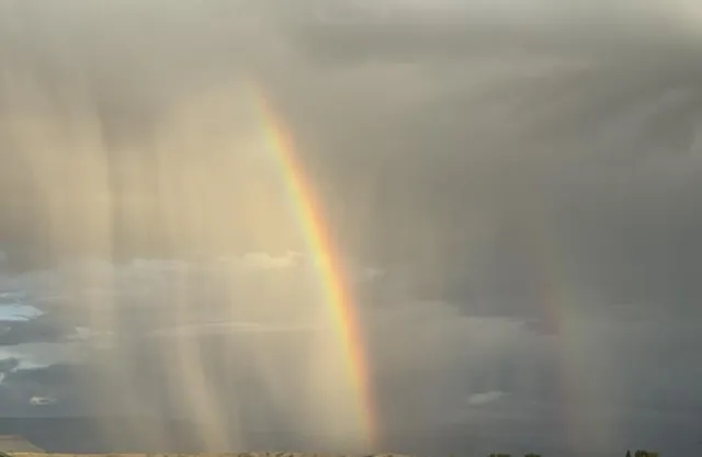 $484,900 | 308 Elderberry Drive, Fruita, CO 81521