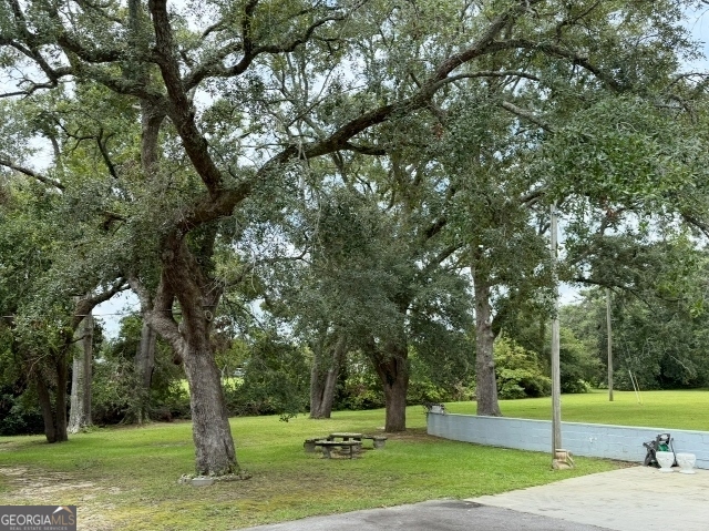 7586 Eastman Road Soperton, GA 30457 - Photo 25 of 29 a view of a park with tree s