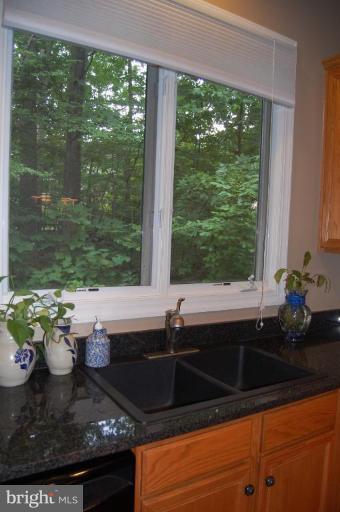 12101 North Walnut Branch Road Reston, VA 20194 - Photo 16 of 30 Other #1