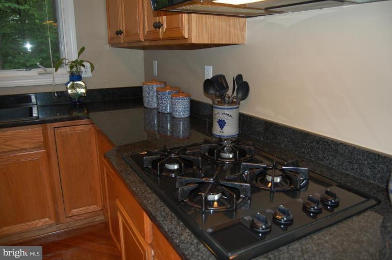 12101 North Walnut Branch Road Reston, VA 20194 - Photo 17 of 30 Other #2
