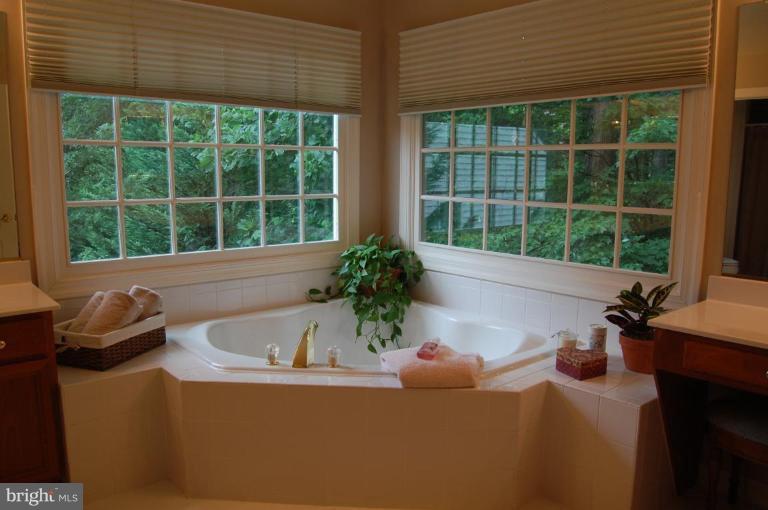 12101 North Walnut Branch Road Reston, VA 20194 - Photo 22 of 30 Master Bath