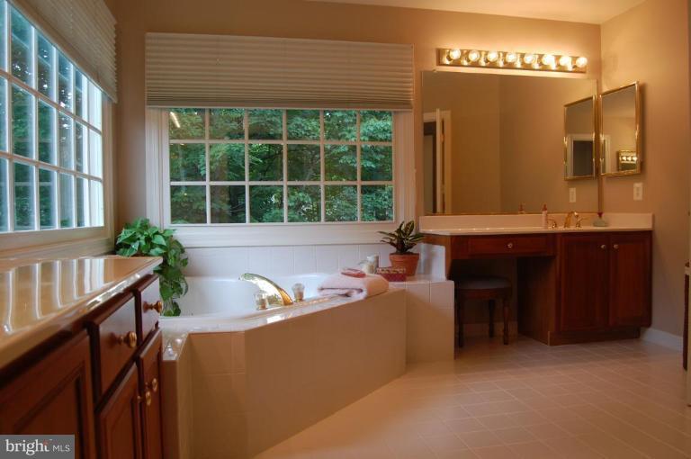 12101 North Walnut Branch Road Reston, VA 20194 - Photo 23 of 30 Master Bath #2