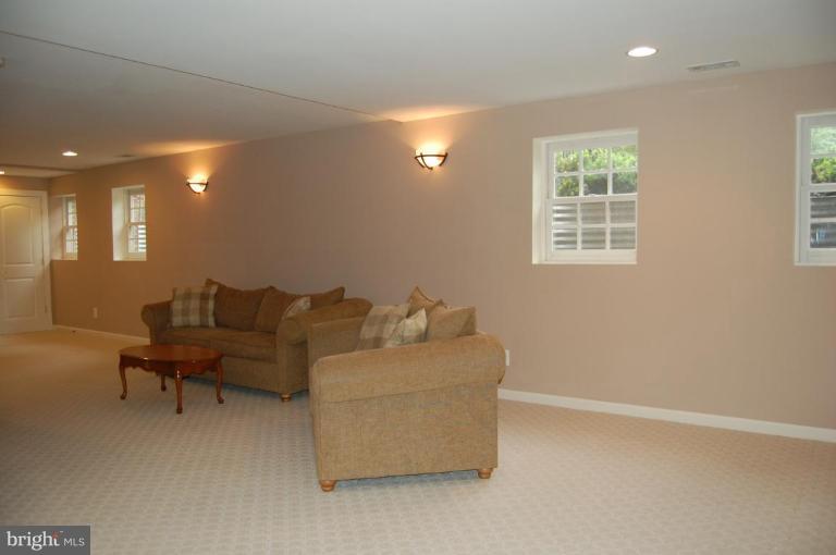 12101 North Walnut Branch Road Reston, VA 20194 - Photo 26 of 30 Recreation Room