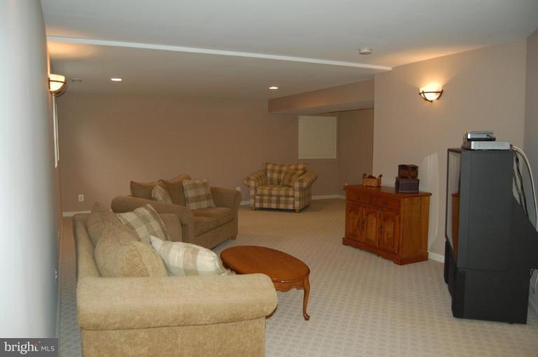 12101 North Walnut Branch Road Reston, VA 20194 - Photo 27 of 30 Recreation Room #2