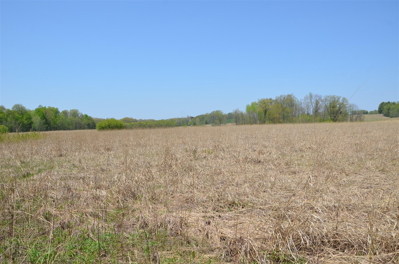2255 River Road Hastings, MI 49058 - Photo 49 of 94