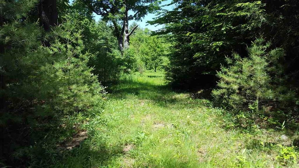 80 North Thetford Road, Unit 8 Lyme, NH 03768 - Photo 2 of 4