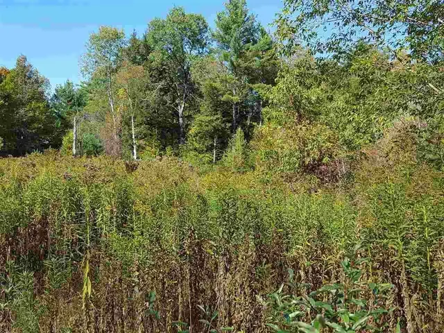 $250,000 | 80 North Thetford Road, Unit 8, Lyme, NH 03768