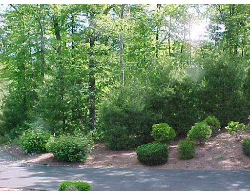 55 York Brook Road Canton, MA 02021 - Photo 3 of 16 Gallery Image 3