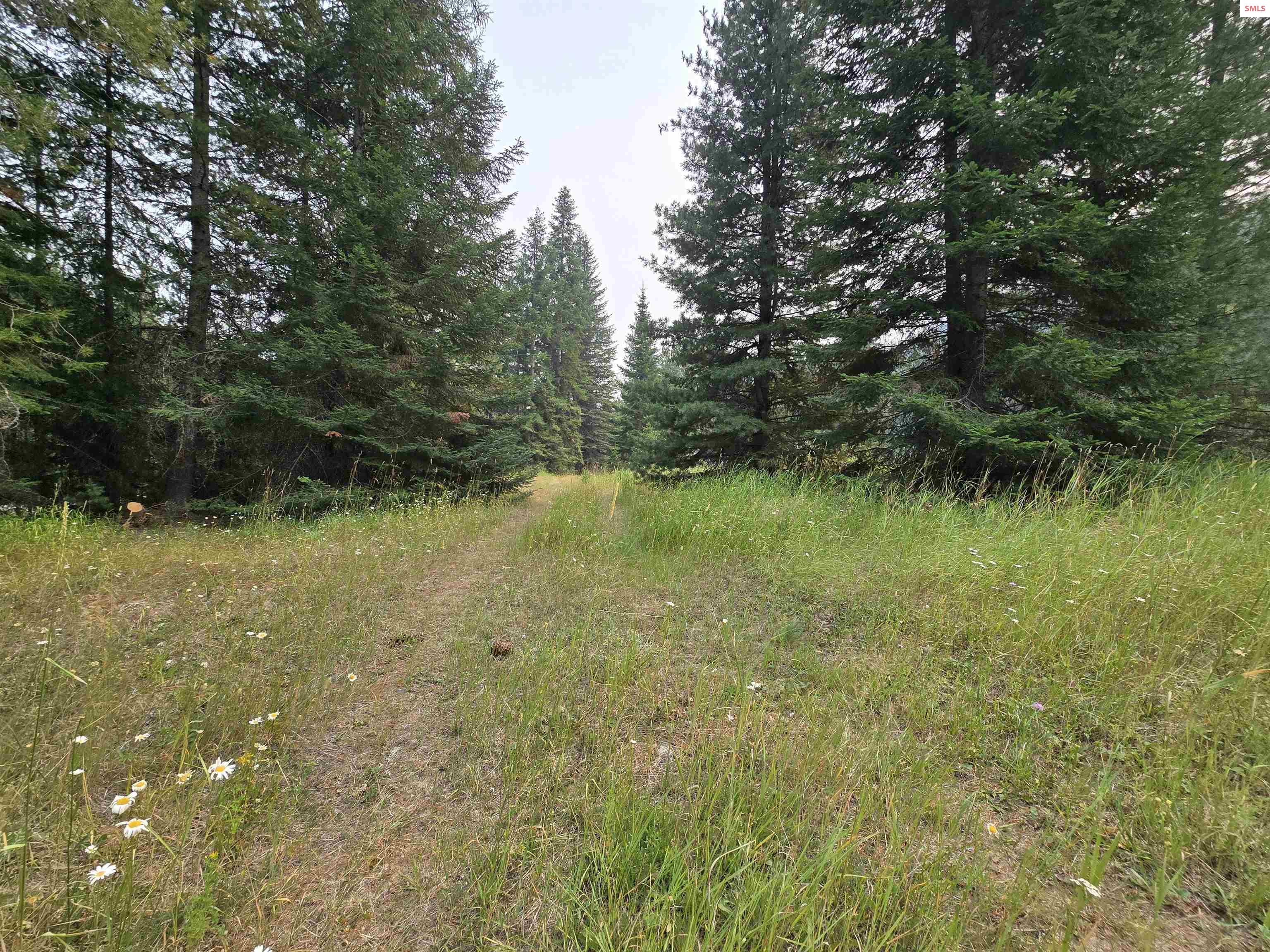 12941 Yaak River Road Troy, MT 59935 - Photo 8 of 15 Gallery Image 8