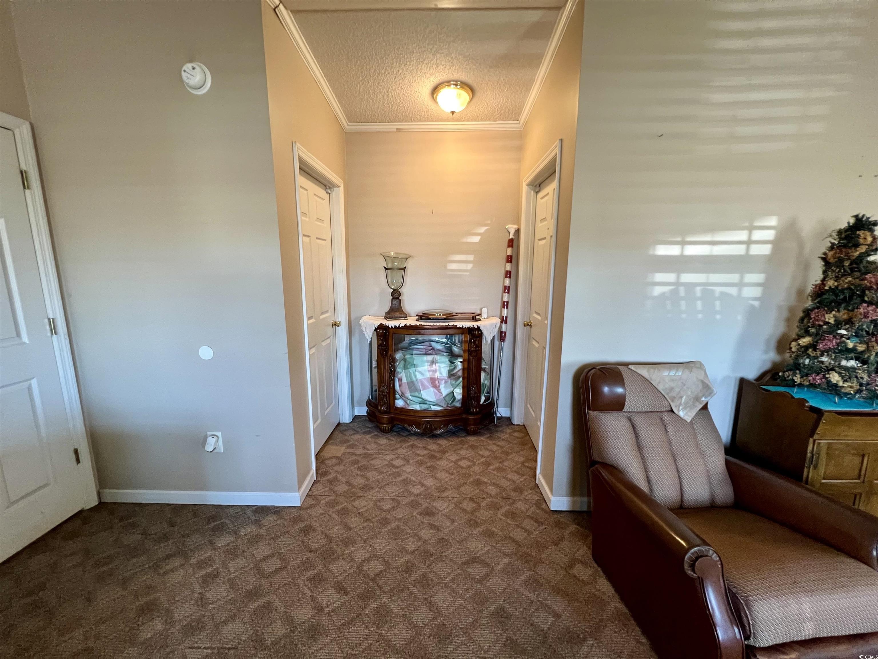 240 Amber Lane Conway, SC 29526 - Photo 21 of 25