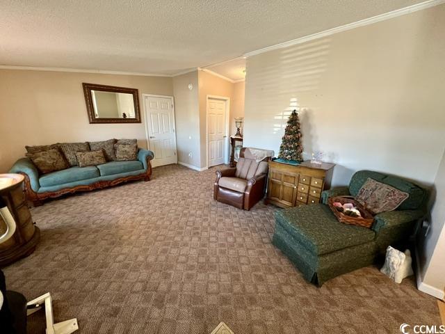 240 Amber Lane Conway, SC 29526 - Photo 10 of 25