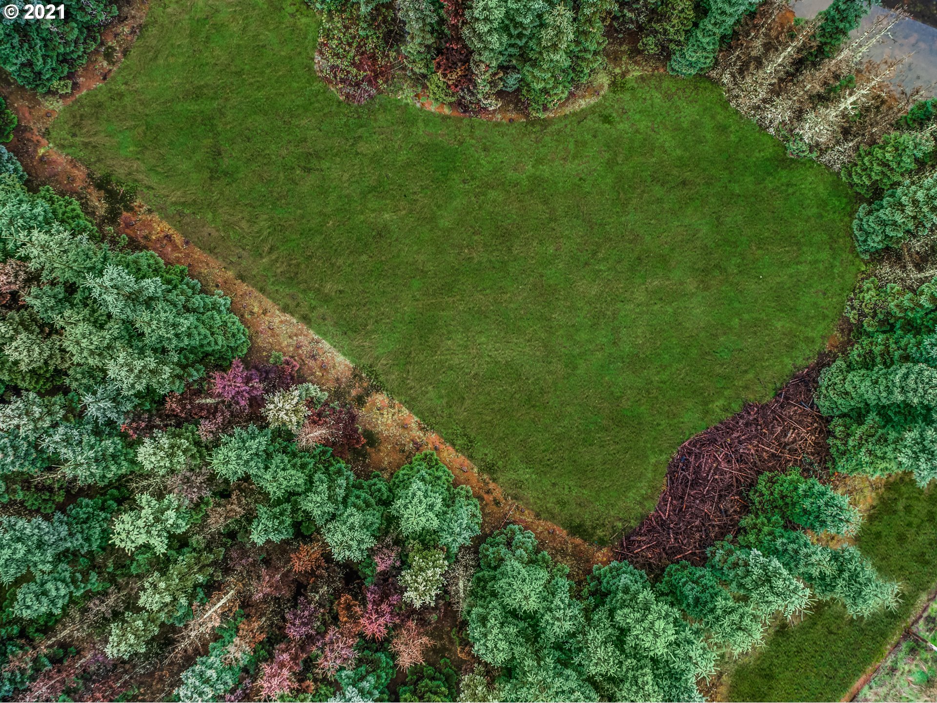 17092 South Carus Road Beavercreek, OR 97004 - Photo 26 of 32 a view of a garden