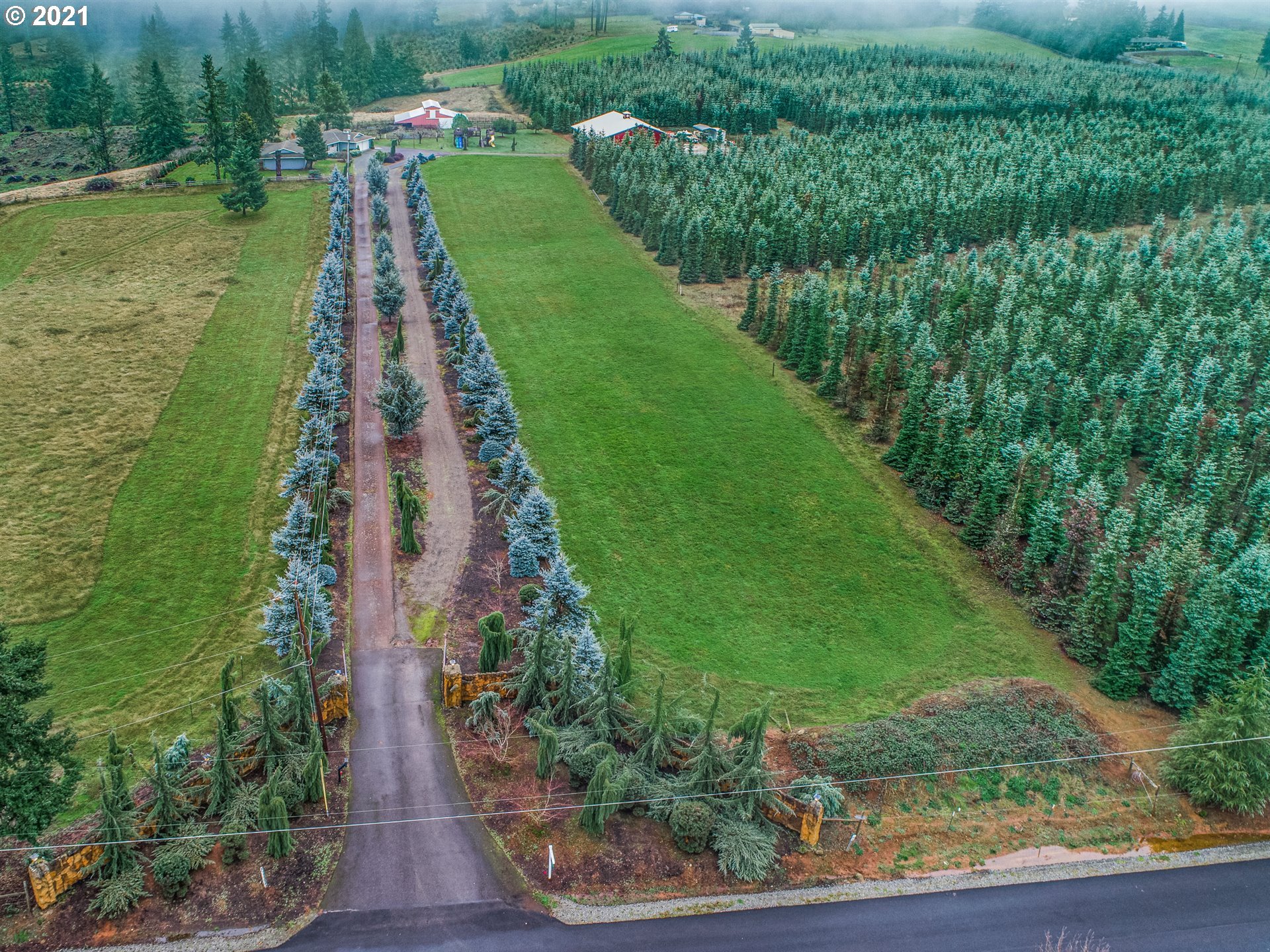 17092 South Carus Road Beavercreek, OR 97004 - Photo 7 of 32