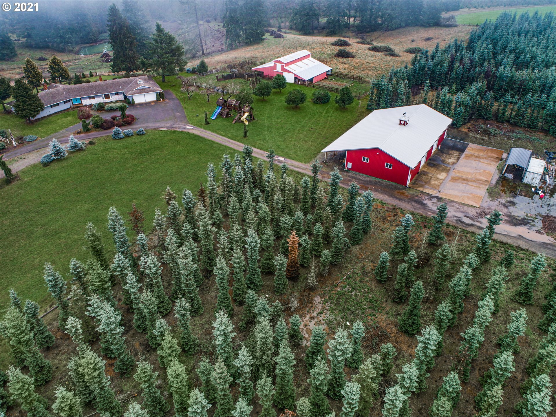 17092 South Carus Road Beavercreek, OR 97004 - Photo 8 of 32 an aerial view of a garden with lots of trees