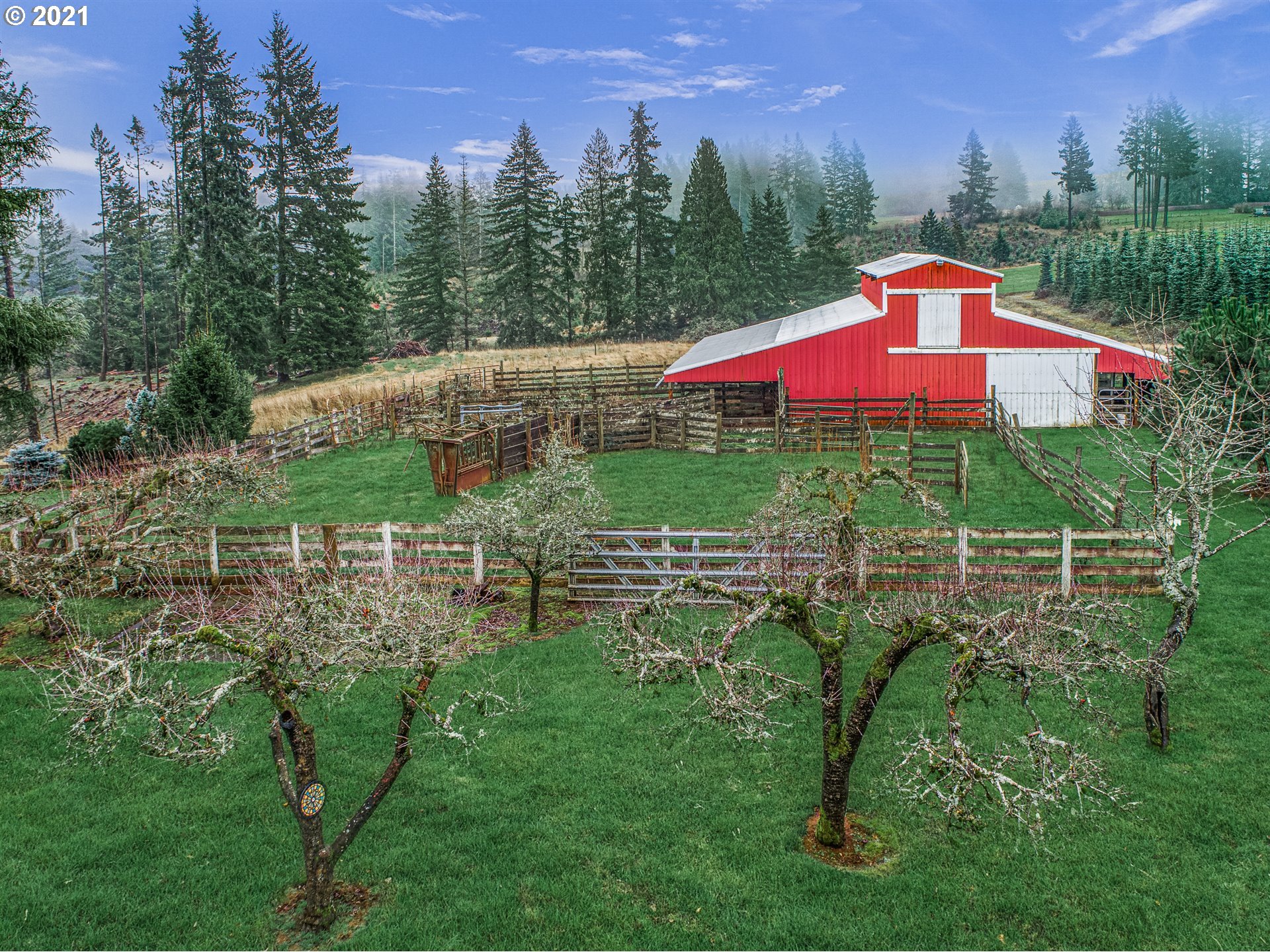 17092 South Carus Road Beavercreek, OR 97004 - Photo 10 of 32 a view of a small yard in front of a house with a yard