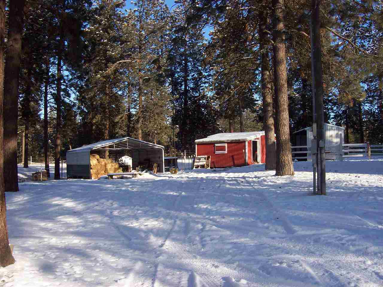 2525 South Ritchey Road Medical Lake, WA 99022 - Photo 3 of 18