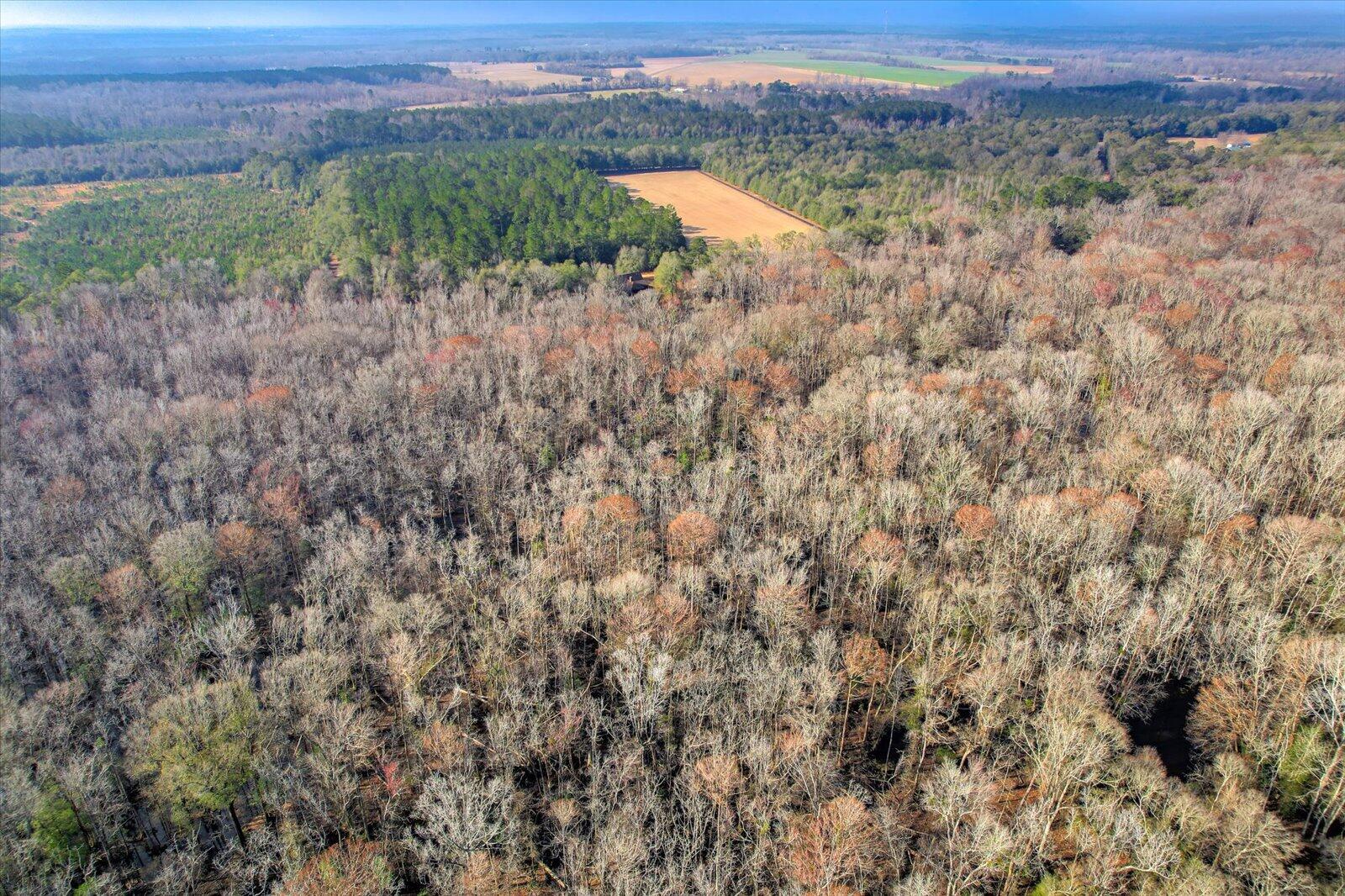 1114 Lott Bluff Road Blackville, SC 29817 - Photo 72 of 164