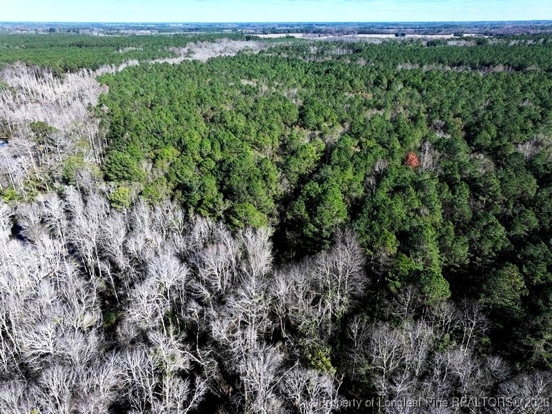 Tbd Tbd Stuarts Mill Road Rowland, NC 28383 - Photo 2 of 10 a view of a lush green forest with a lake and trees