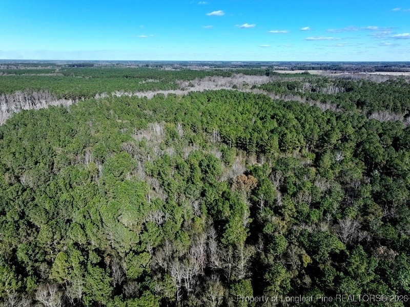 Tbd Tbd Stuarts Mill Road Rowland, NC 28383 - Photo 3 of 10 a view of an ocean and a mountain view