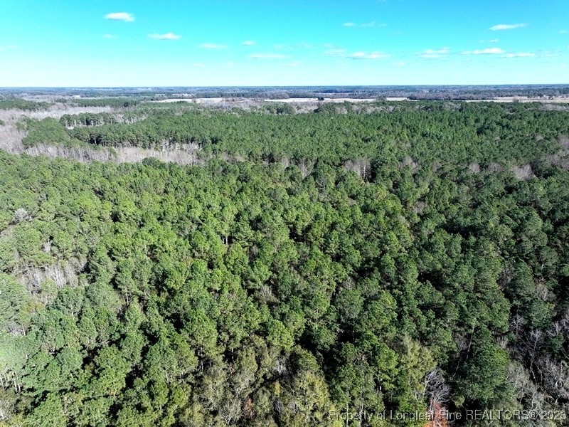 Tbd Tbd Stuarts Mill Road Rowland, NC 28383 - Photo 5 of 10 a view of a field with a lush green forest