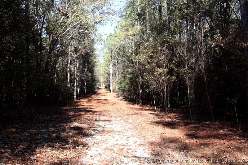 Tbd Tbd Stuarts Mill Road Rowland, NC 28383 - Photo 7 of 10 a view of outdoor space with trees