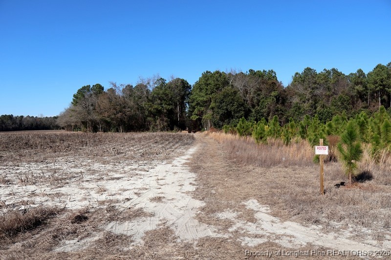 Tbd Tbd Stuarts Mill Road Rowland, NC 28383 - Photo 10 of 10 a view of a yard