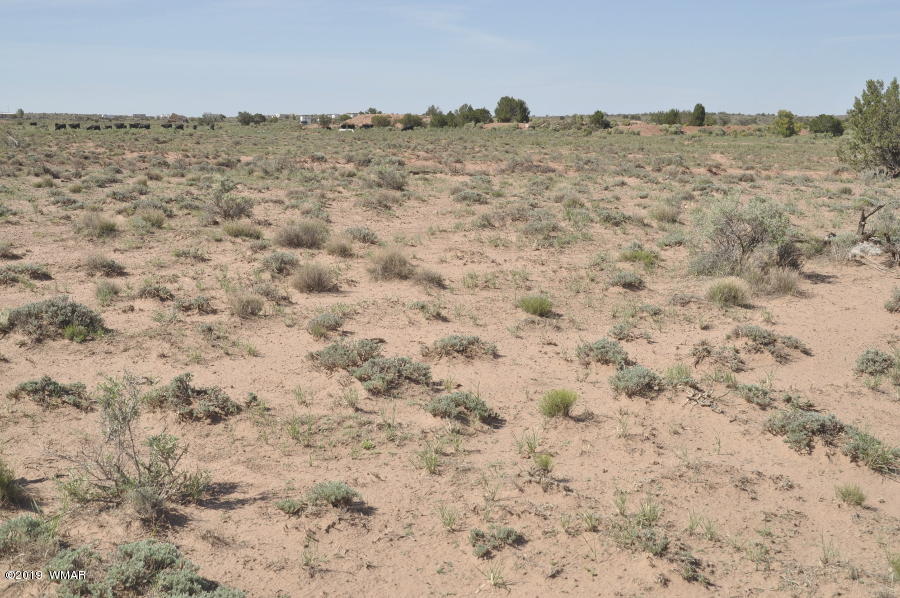 8424 East Tryon Lane Snowflake, AZ 85937 - Photo 3 of 9
