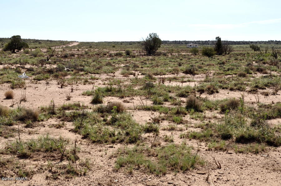8424 East Tryon Lane Snowflake, AZ 85937 - Photo 5 of 9