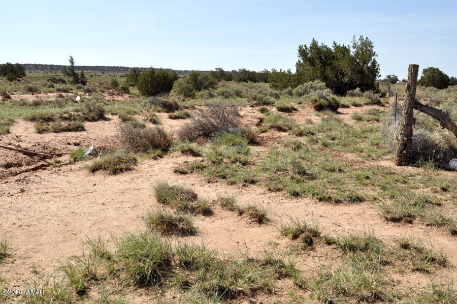 8424 East Tryon Lane Snowflake, AZ 85937 - Photo 6 of 9