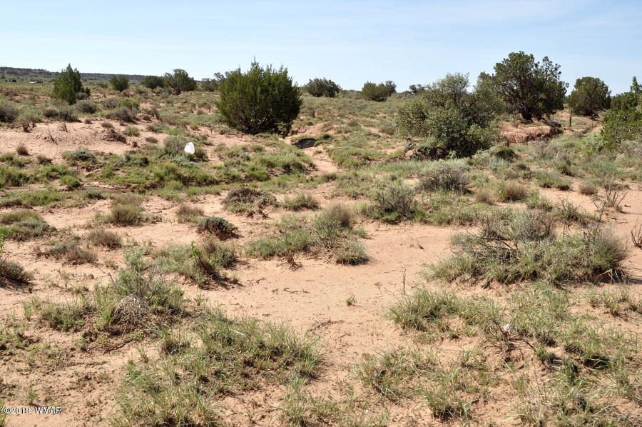 8424 East Tryon Lane Snowflake, AZ 85937 - Photo 8 of 9
