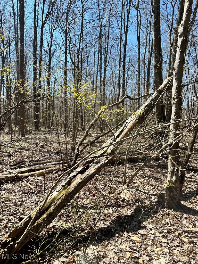 2832 Maple Road Jefferson, OH 44047 - Photo 13 of 26 View of landscape