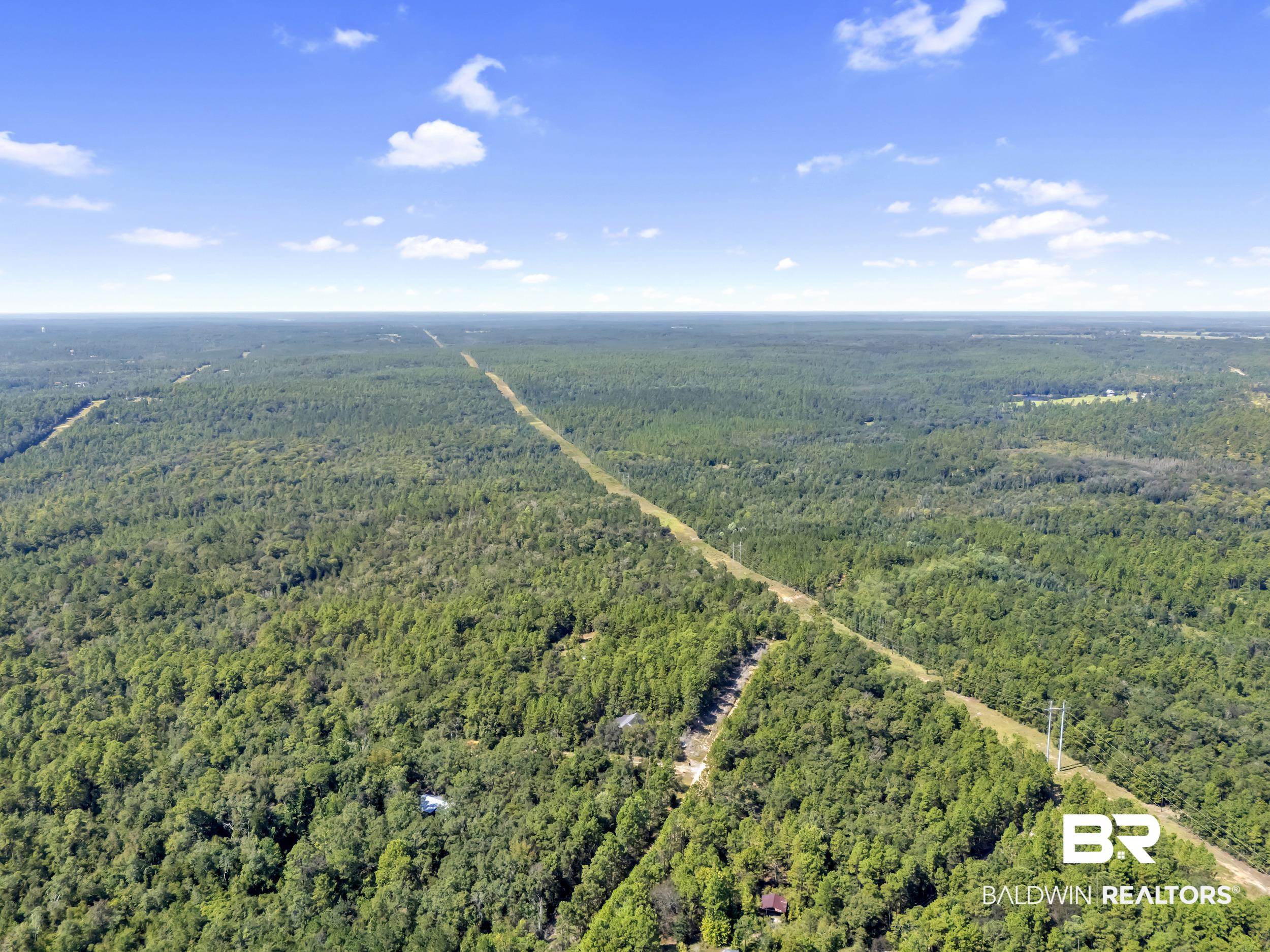 0 Arden Road Chunchula, AL 36521 - Photo 13 of 18 Aerial view of a heavily wooded area