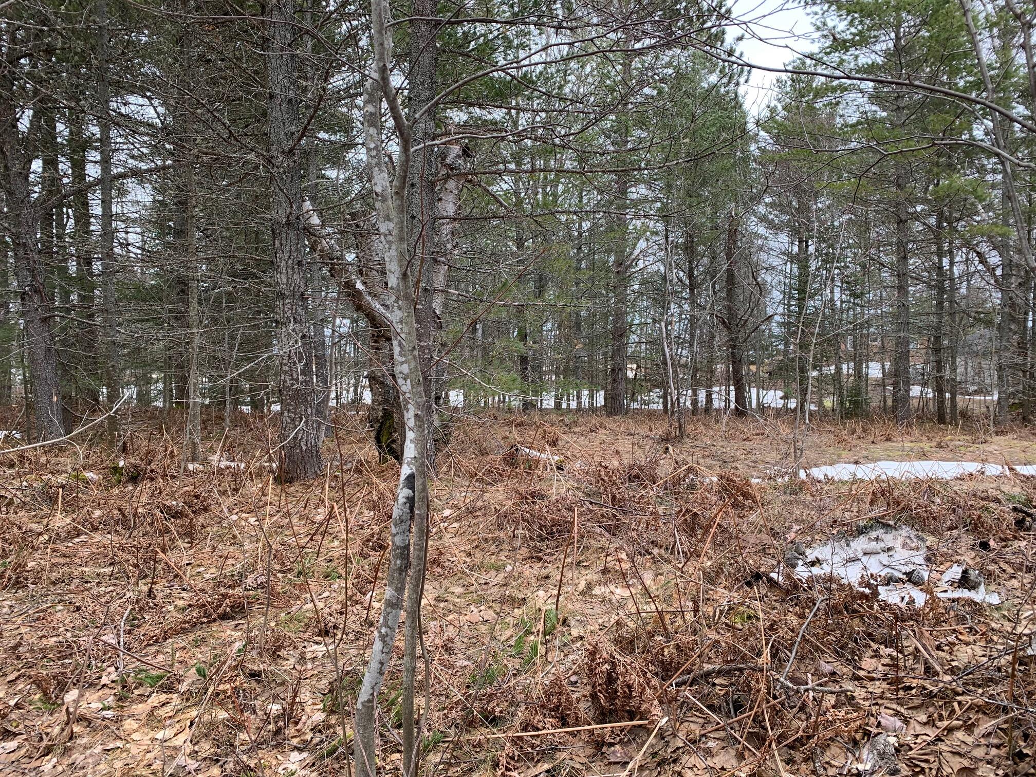 14920 North Whitefish Point Road Paradise, MI 49768 - Photo 14 of 17 Gallery Image 14
