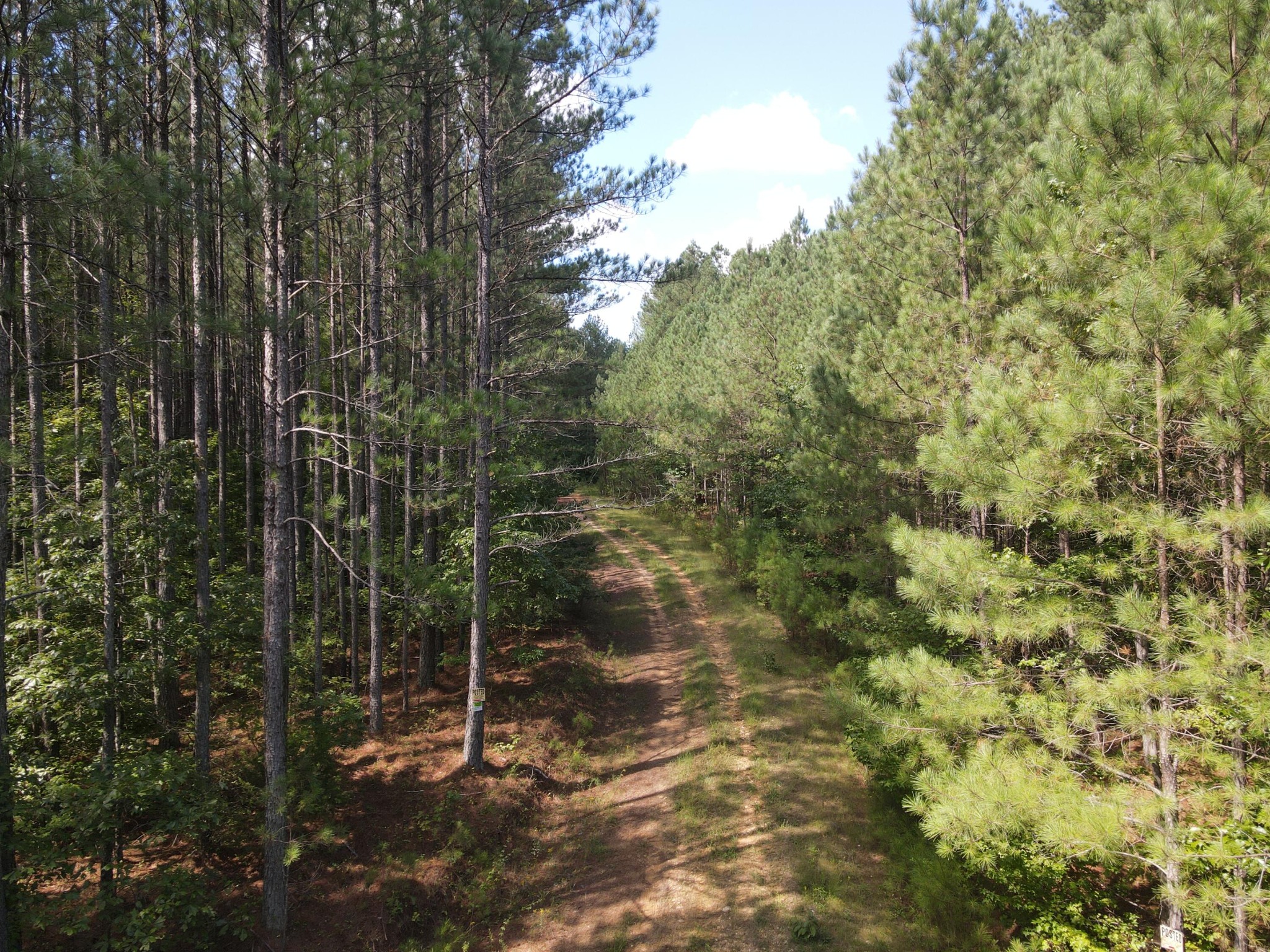 0 Lick Ck Road Big Sandy, TN 38221 - Photo 10 of 11 Gallery Image 10