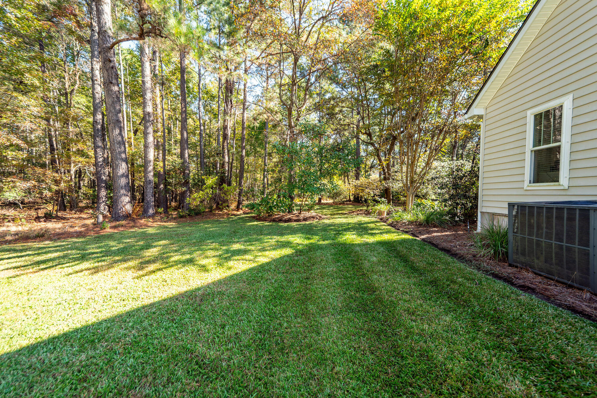 5950 Lowell Reed Road Ravenel, SC 29470 - Photo 5 of 120 98