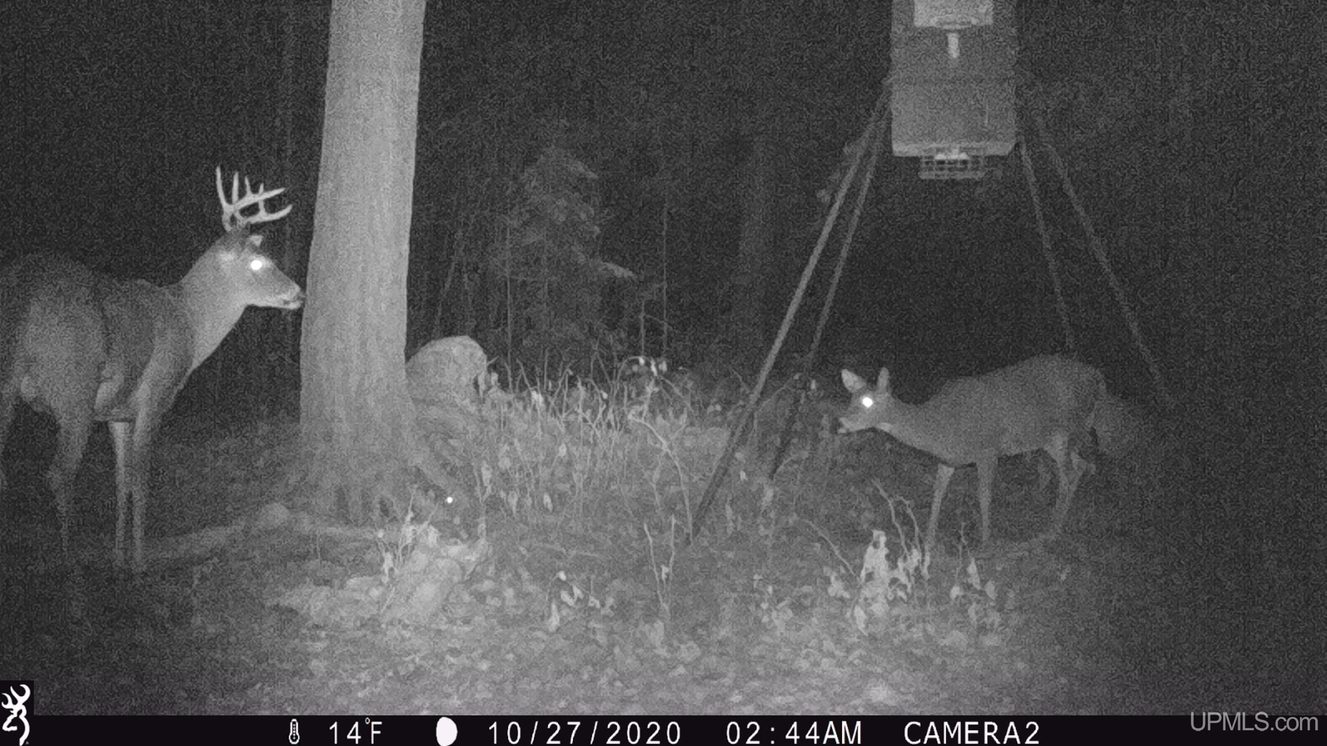 Tbd Barry Road Iron River, MI 49935 - Photo 32 of 40 Gallery Image 32
