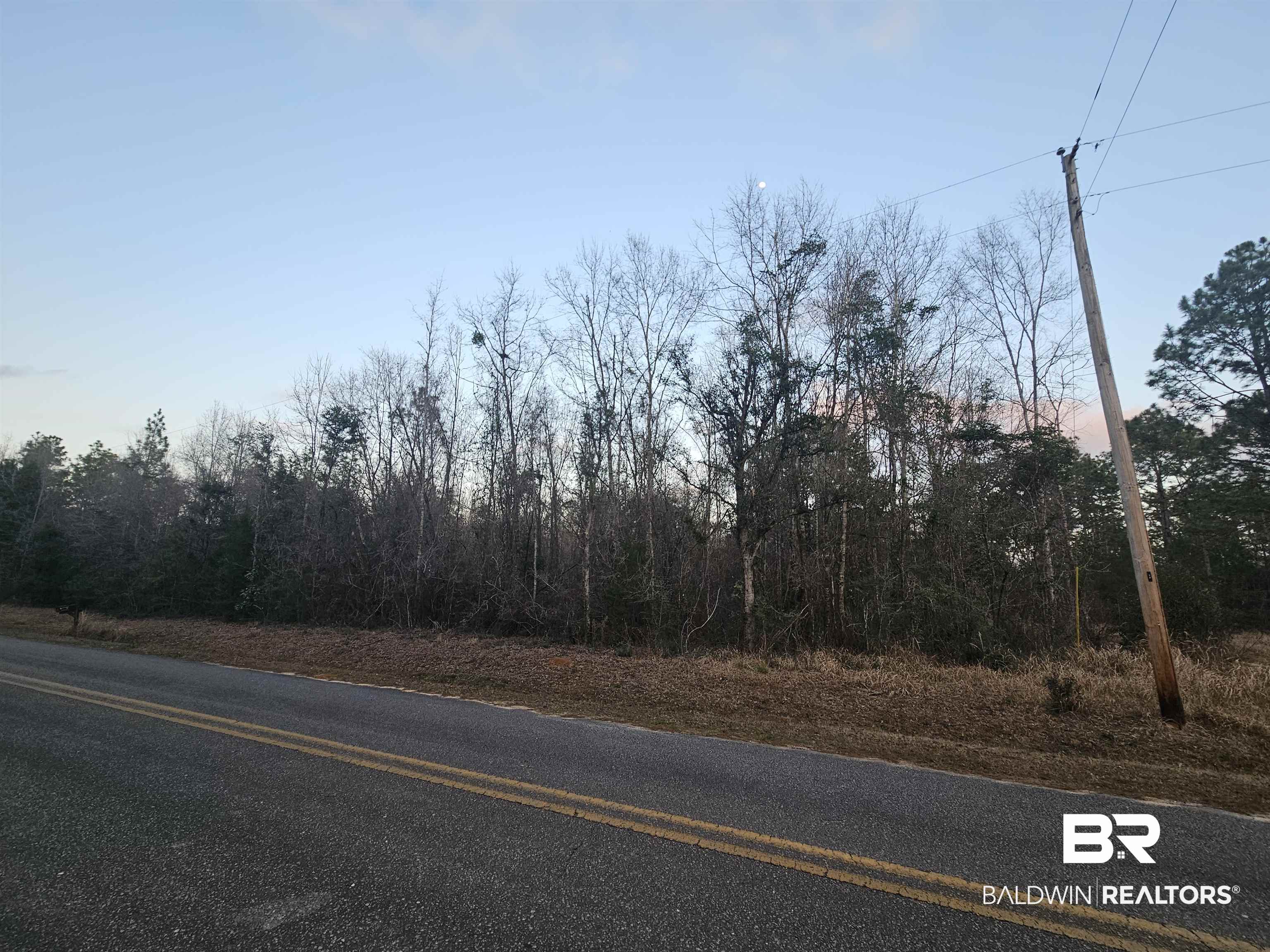 0 Lee Road Robertsdale, AL 36567 - Photo 3 of 4 Gallery Image 3