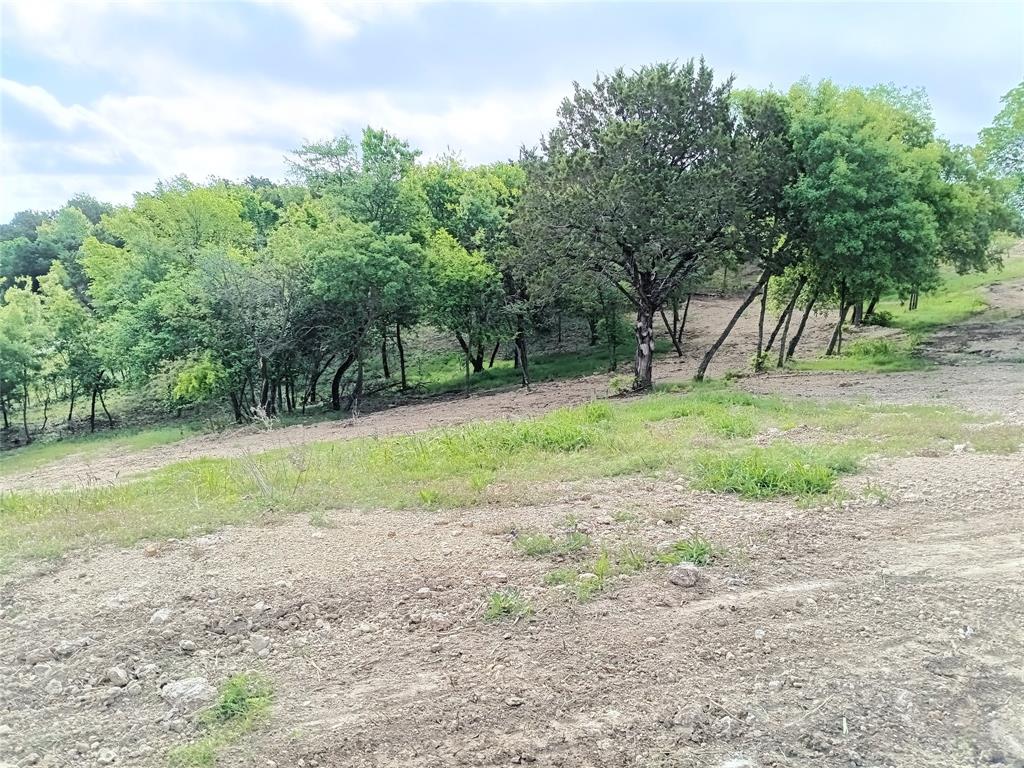 700 Woodhaven Drive Springtown, TX 76082 - Photo 8 of 15 a view of a yard with a tree