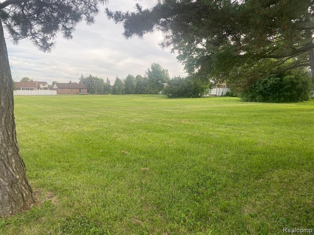 0 Eureka Road Road Wyandotte, MI 48192 - Photo 1 of 4