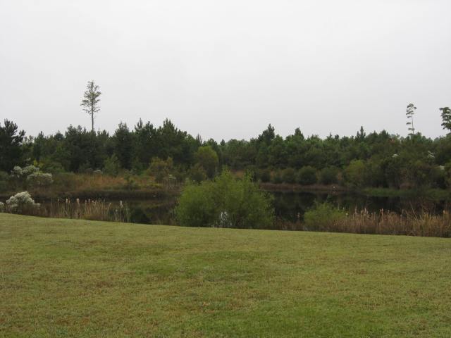 469 West Perry Road Myrtle Beach, SC 29579 - Photo 8 of 10 Gallery Image 8