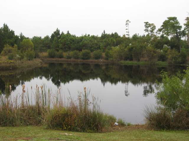469 West Perry Road Myrtle Beach, SC 29579 - Photo 9 of 10 Gallery Image 9